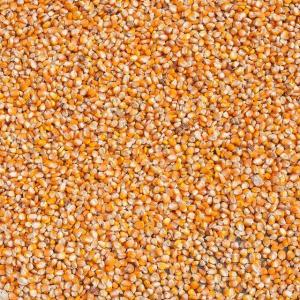 Wholesale bulk bag: Yellow Corn No. 2