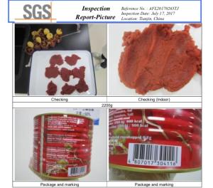 Wholesale Canned Food: Canned Tomato Paste