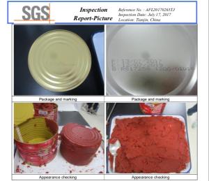 Wholesale canned: Canned Tomato Paste