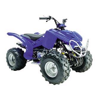 110cc Raptor ATV(id:1167776) Product details - View 110cc Raptor ATV ...