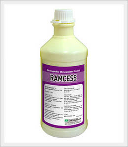 Wholesale imidacloprid: Ramcess EC