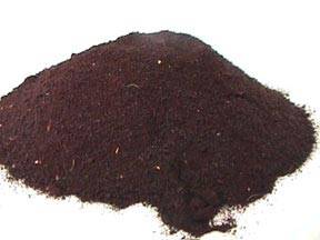 Wholesale animal feed: Blood Meal