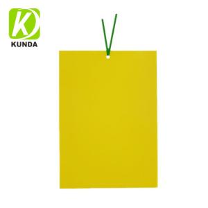 Wholesale sticky notes: Twist Ties Fruit Fly Trap Yellow Sticky Gnat Traps Killer Yellow Sticky Fly Glue Trap for Whiteflie