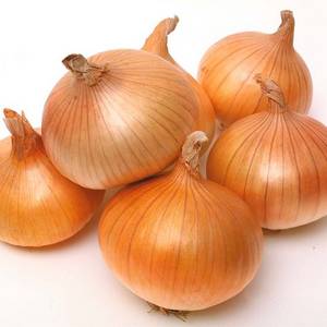 Wholesale hardwood: Fresh Onion