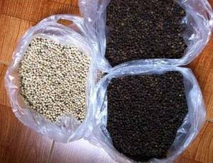 Wholesale dried: Coriander Seeds / Black Pepper / White Pepper
