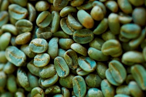 Green Arabica Coffee Beans(id:6963947) Product details - View Green Arabica Coffee Beans from J ...