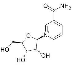 Wholesale niacin: Nicotinamide Riboside Chloride