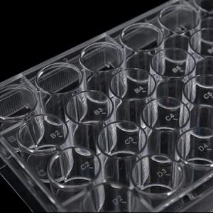 Wholesale a: Cell and Tissue Culture Plates, 6/12/24/48/96/384wells, Non-treated/TC-treated