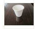 Wholesale healthy disposable paper cups: biodegradable Cup