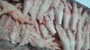 Wholesale blocks: Frozen Halal Processed Chicken Paws & Chicken Feet Available Supplier From Pakistan