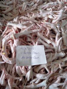 Wholesale chicken paw: Wholesale Frozen Halal Chicken Paws , Chicken Feet - Supplier From Pakistan