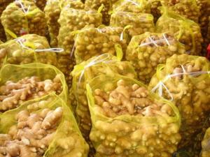 Wholesale dry box: Fresh Ginger Whole Sale Fresh Ginger, Ginger Salers, Ginger Exporters