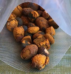 Wholesale cow ox gallstone: Quality Dried Cow Ox Gallstones