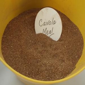 Wholesale Other Plant & Animal Oil: Rapeseed Meal / Canola Meal