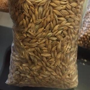 Wholesale Other Animal Feed: Animals Feed Barley with Cheap Price