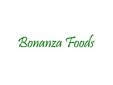 Bonanza Resources Limited Company Logo