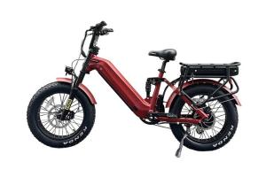 Wholesale fatigue testing equipment: Most Powerful Electric Fat Bike