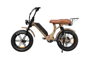 Wholesale tires for motorcycle: Step Through Fat Tire Electric Bike