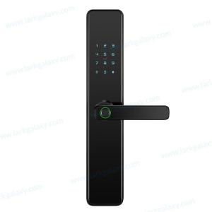 Wholesale anti theft alarm system: Face Recognition Fingerprint Bluetooth Password Electronic Smart Lock AM1
