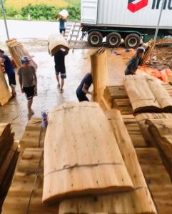 Wholesale vietnam plywood: Acacia - Eucalyptus Core Veneer