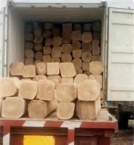 Wholesale Other Energy Related Products: Pine and Oak Teak Wood Logs, Timber, Firewood and Briquettes