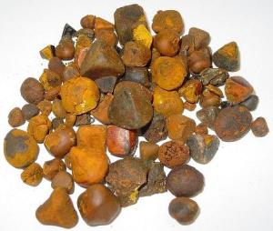 Wholesale natural stone: Dried Cow Ox Gallstones for Sale
