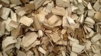 Eucalyptus Wood Chips