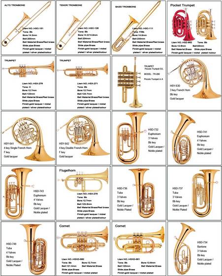 Top 100+ Pictures The Bass Instrument In The Brass Family Is The Latest