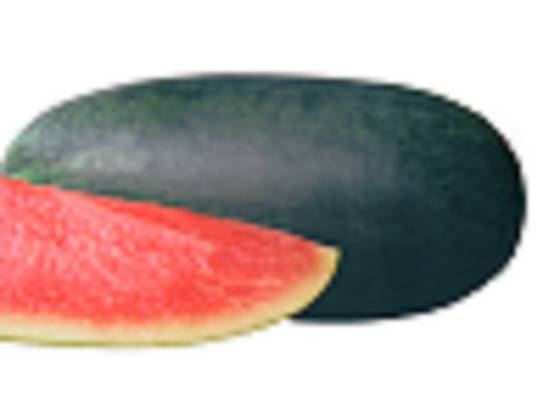 Sell Black Beauty Type Watermelon Seeds 1119 Id 23515409 From Leadhood Seed Co Ltd Ec21
