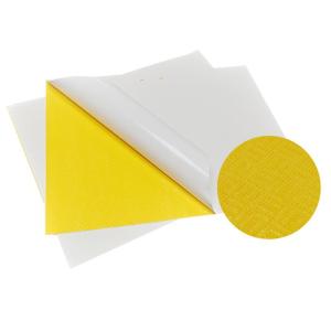 Wholesale positioning glue: Fruit Fly Traps Yellow Sticky Trap Boards for Catching Plant Flying Insects Fungus Gnats