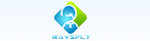Shenzhen Raysflt Technology Co., Ltd. Company Logo