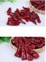 We Buy Dry Red Chilli