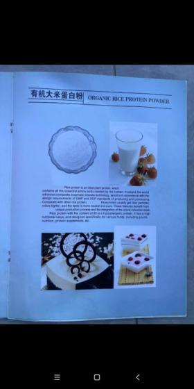 Organic Rice Protein Powder