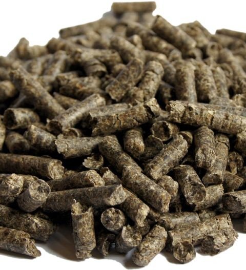 Dried Sugar Beet Pulp Pellets from Vikastrading Ltd, Netherlands