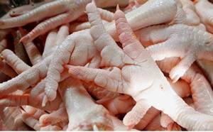 Wholesale bags: Chicken Feet and Paws Grade A Processed Halal 