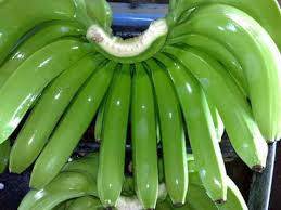 Wholesale Fruit: Fresh Cavendish Bananas