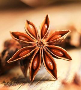Wholesale dried chili: Star Anise
