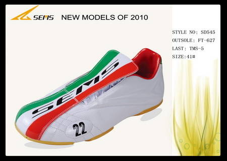 stores that sell indoor soccer shoes
