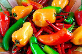 Wholesale stemless chili: Red Chilli Peper
