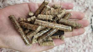 Wholesale biomass energy generator: Wood Pallet