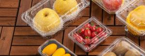 Wholesale snack: Disposable Fruit Containers