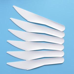 Wholesale dinner plate supplier: Biodegradable Cutlery