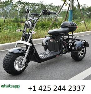 Wholesale Electric Scooters: Adult Electric 3 Wheel Scooter 2000W Motor Max Speed 35-45KM/H Max Load 250KG