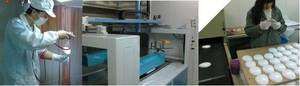 Wholesale Other Manufacturing & Processing Machinery: Second Process