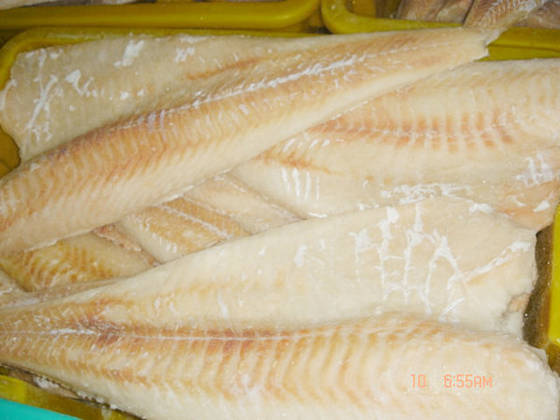 Sell IQF Pacific cod fillet