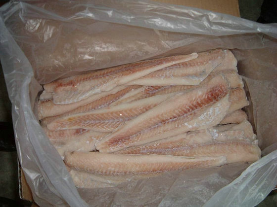 IQF Alaska pollock fillet(id:3951811). Buy China IQF pollock, frozen ...