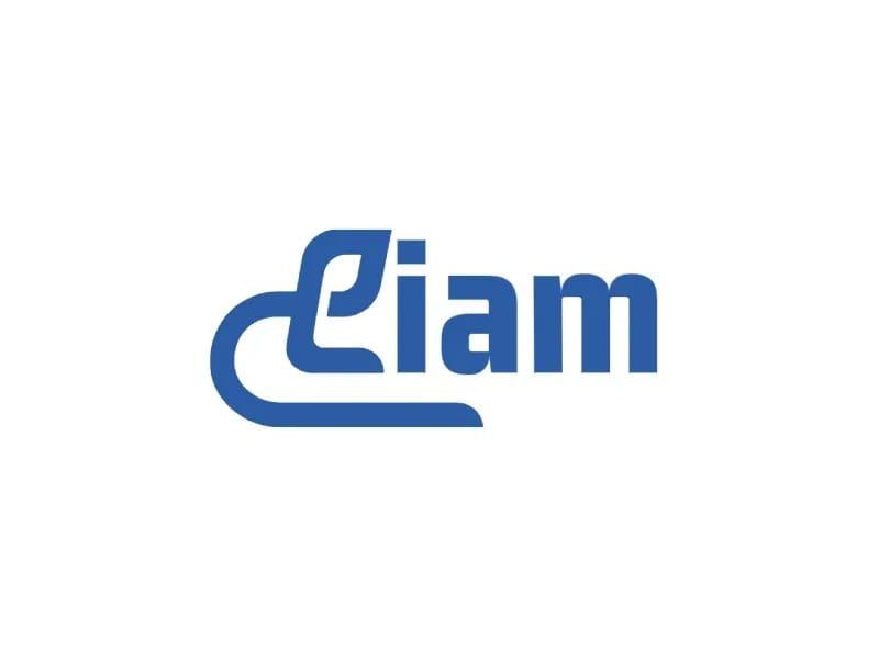Liam Production Group