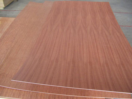 Sapele Plywood Capitol City Lumber