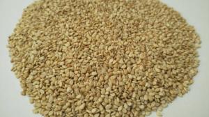 Wholesale purity hulled sesame seeds: Roasted White/Black Sesame