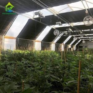 Wholesale s: Manual Single Span Light Deprivation Greenhouse 30ft*100ft for Medicinal Plants
